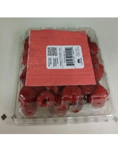 ABSORBENTE ESPECÍFICO PARA...