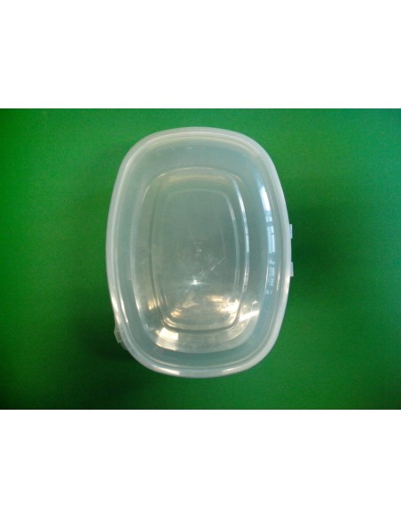 TARRINA BISAGRA PET 2000cc