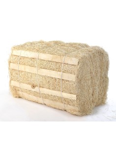 VIRUTA DE MADERA DE CHOPO 2