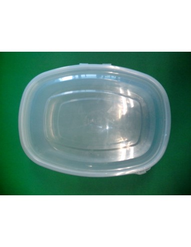 TARRINA P.P. INYECT. 2000cc