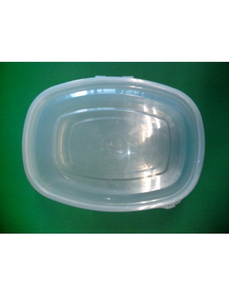 TARRINA P.P. INYECT. 2000cc