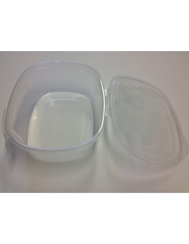 TARRINA BISAGRA PET 1000cc